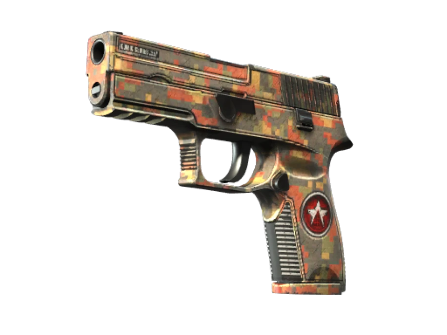 P250 | Red Rock (Field-Tested)