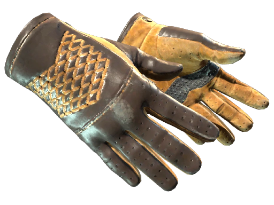 ★ Driver Gloves | Overtake (Field-Tested)