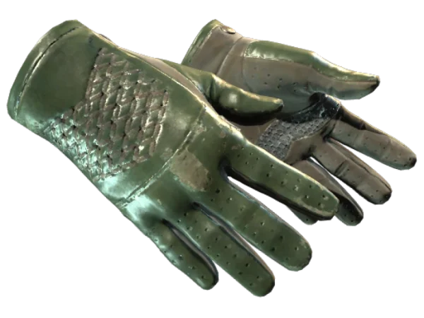 ★ Driver Gloves | Racing Green (Well-Worn)