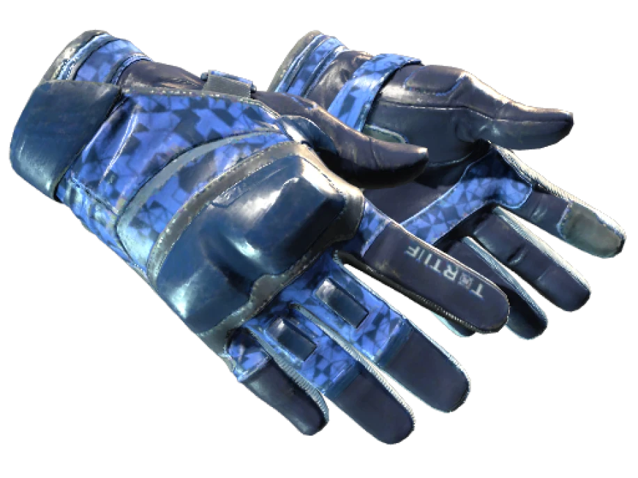 ★ Moto Gloves | Polygon (Field-Tested)