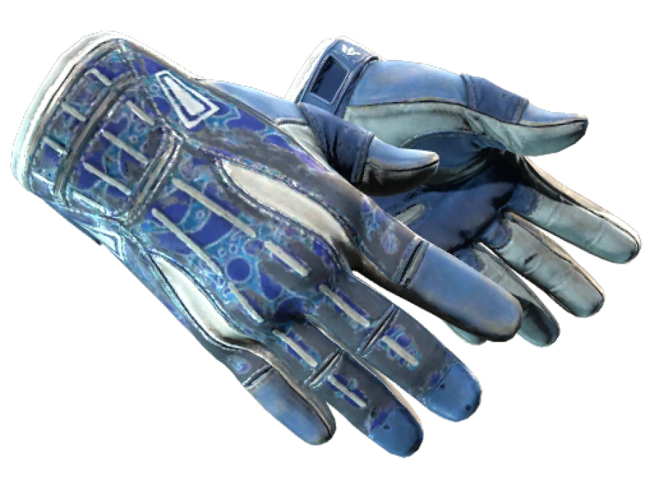 ★ Sport Gloves | Amphibious (Battle-Scarred)