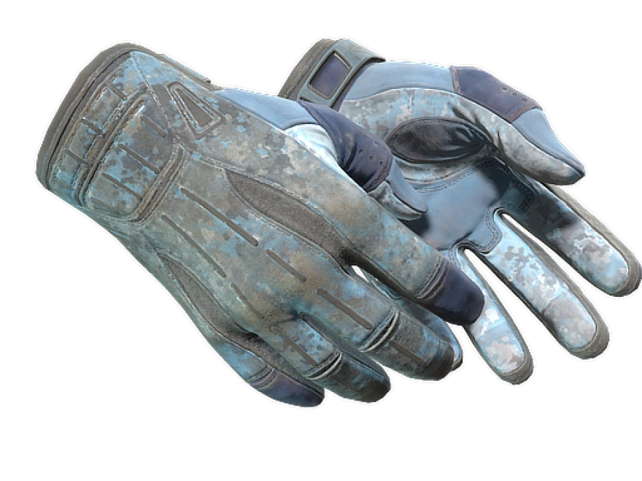 ★ Sport Gloves | Frosty (Battle-Scarred)