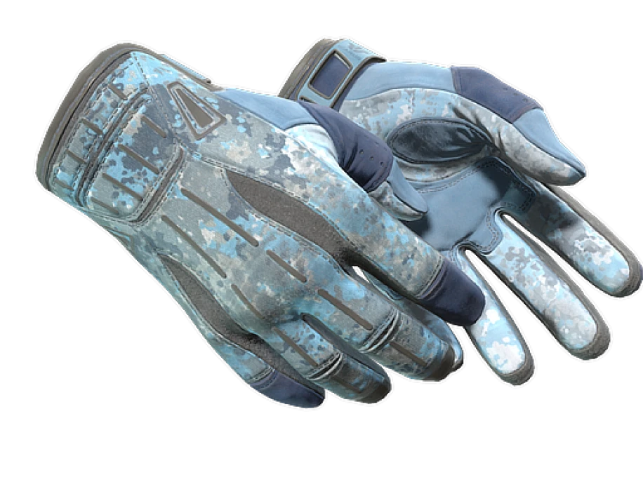 ★ Sport Gloves | Frosty (Well-Worn)