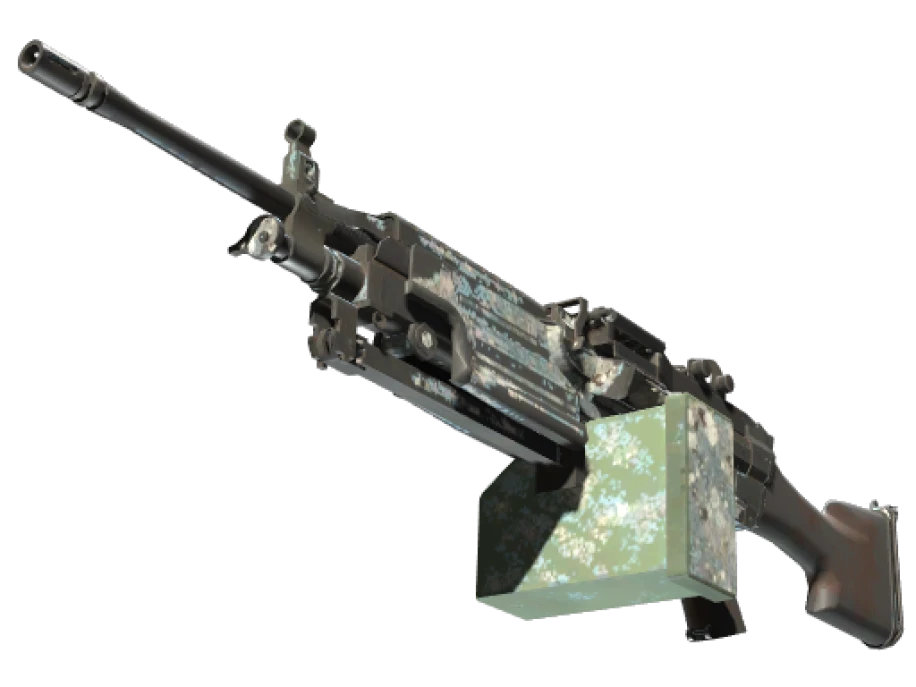 Souvenir M249 | Blizzard Marbleized (Battle-Scarred)