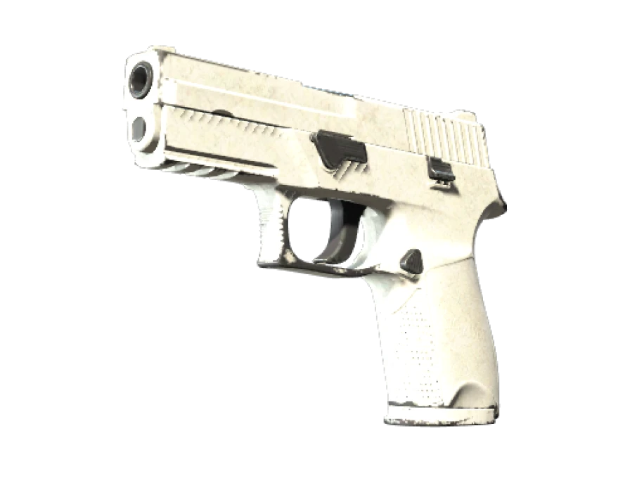 Souvenir P250 | Whiteout (Field-Tested)